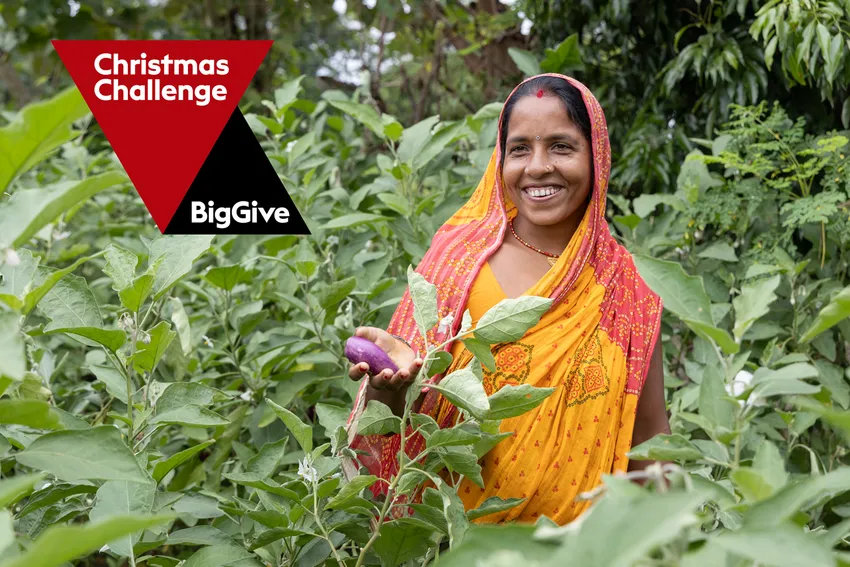 A woman in south Nepal proud of the aubergines she has grown in an agroforestry project supported by Pipal Tree.