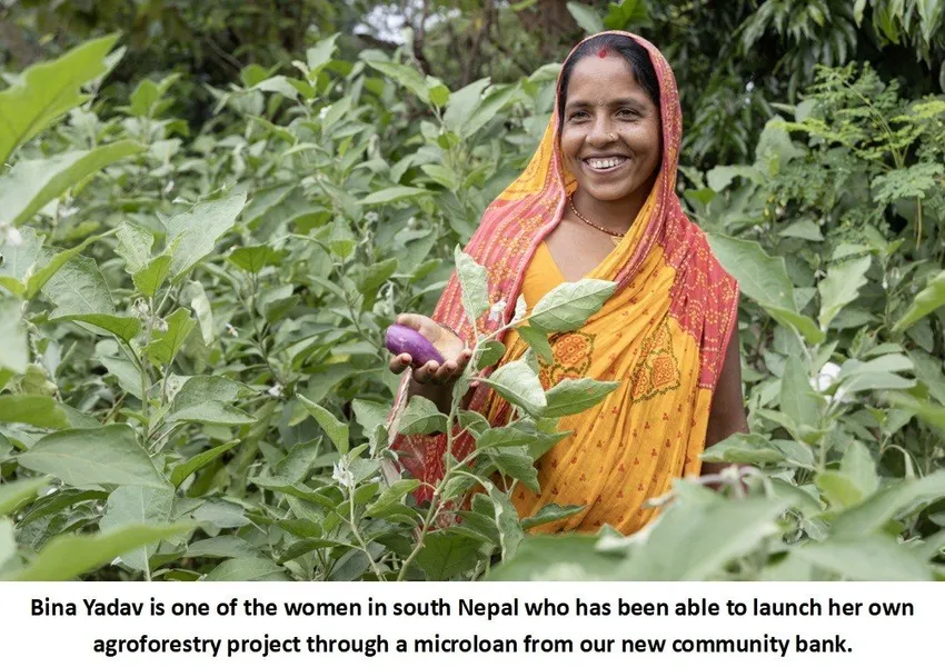 Loans for agroforestry