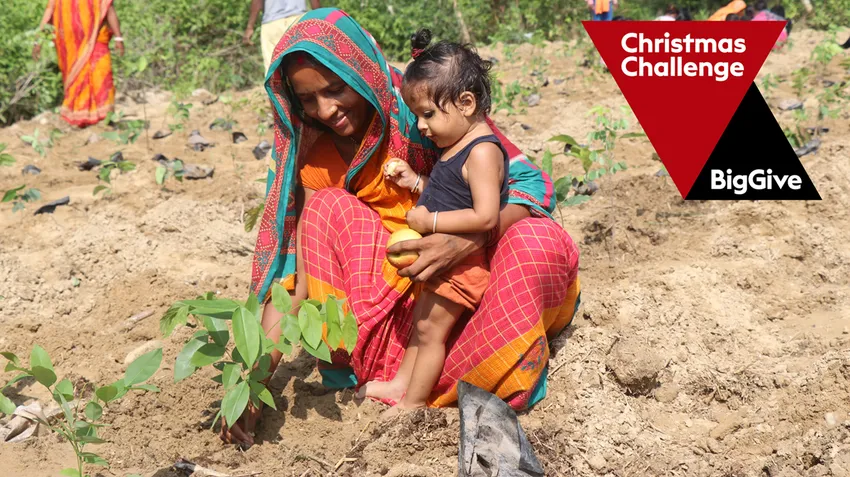 Planting saplings in a Miyawaki forest in south Nepal is a community - and family - activity.