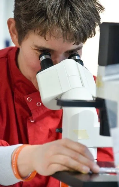Researcher microscope