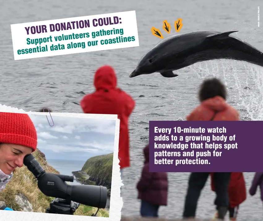 Your donation could: support volunteers gathering essential data along our coastlines. Every 10-minute watch adds to a growing body of knowledge that helps spot patterns and push for better protection.