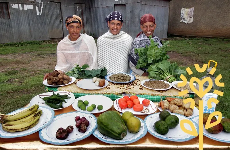 Self Help Africa supports households to produce nutritious foods to backyard gardens in Ethiopia