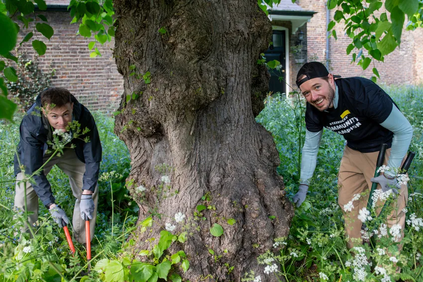 Volunteers helping to care for trees