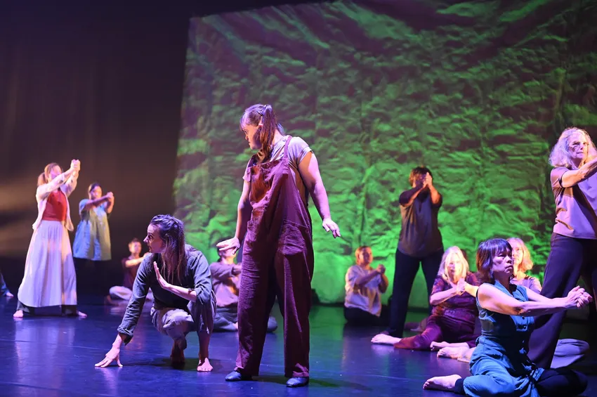 Dancefest Big Give - performance photo by Karey Parsons