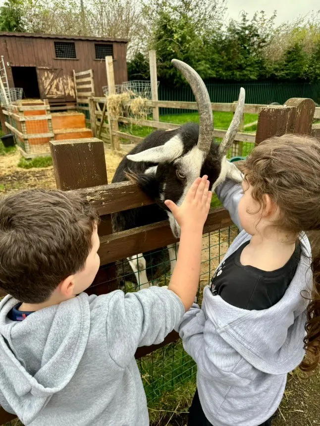Children petting a goat