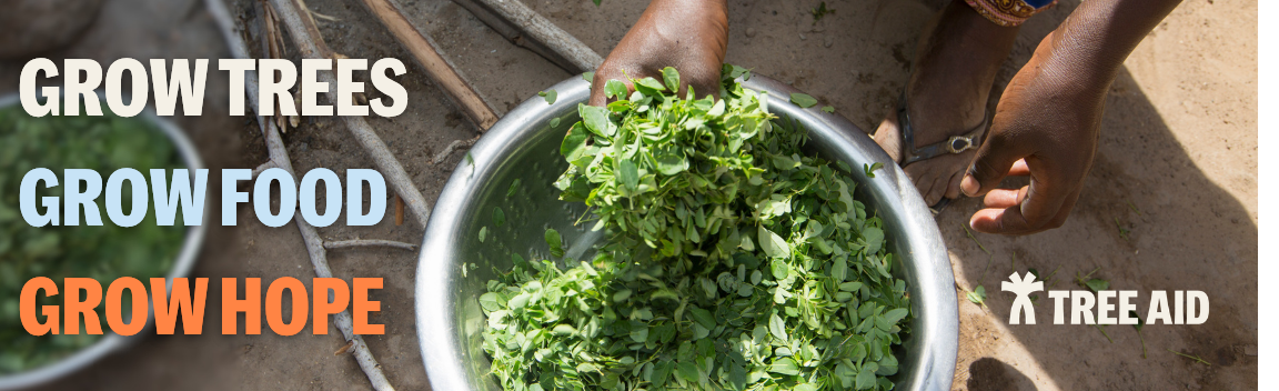 Trees that grow food for the future – Big Give