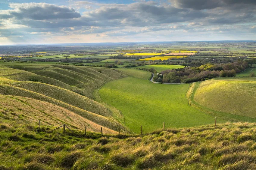 RS4170_Web - Landscape by Daniel Wretham 1_scr (1)