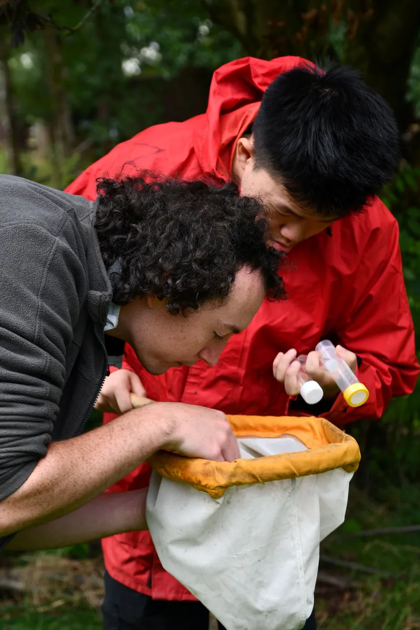 Tutor and young person inspecting the contents of a pond dipping net