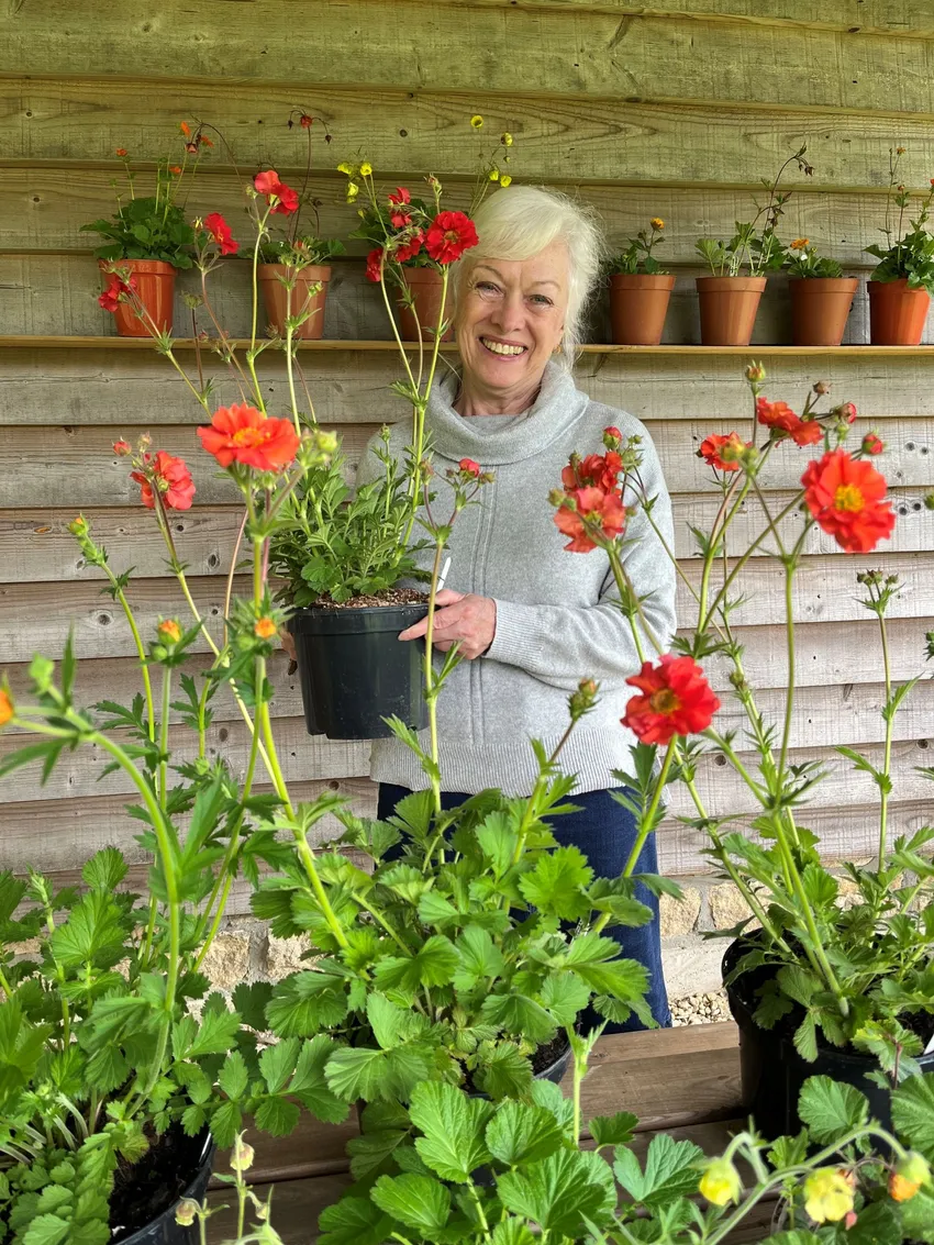 Maria stands in a garden shed holding a black pot of bright red and orange flowering plants from her National Collection of Geum, surrounded by other potted plants and a wooden wall lined with terracotta pots.