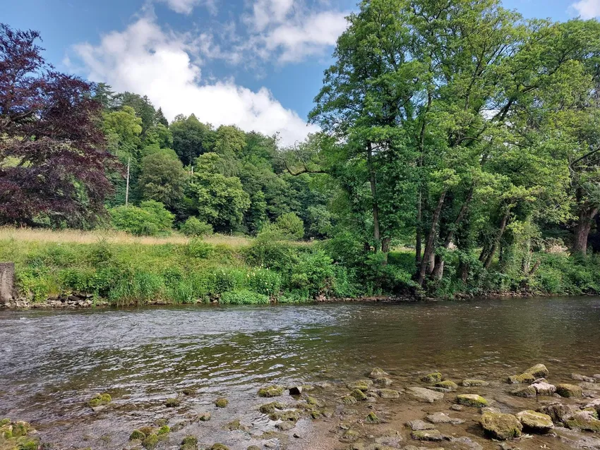 Emily Witham - River Derwent