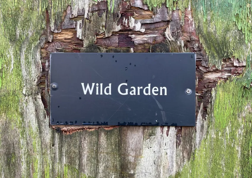 Wild Garden