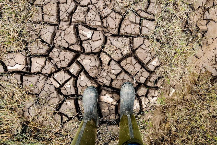 Cracked mud following extreme heat