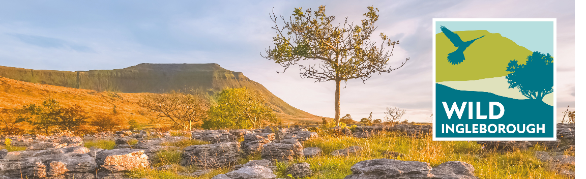 Wild Ingleborough: A Vision for a Wilder Future