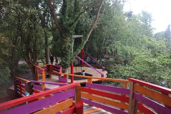Walkway through the woods