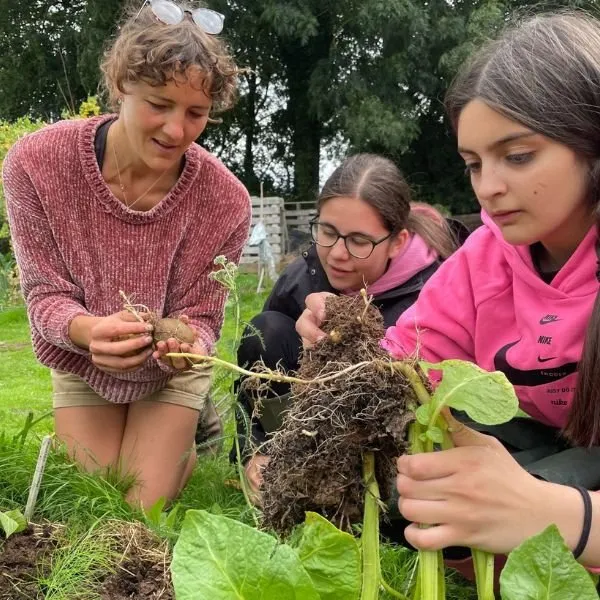 Two young children and an adult pulling up vegetables from the vegetable patch.