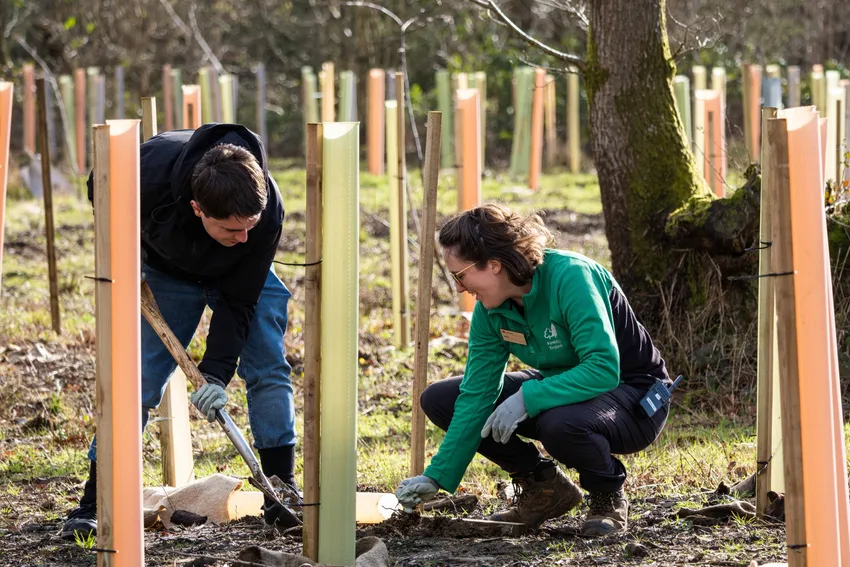 Community tree planting day with Phoenix Enterprises