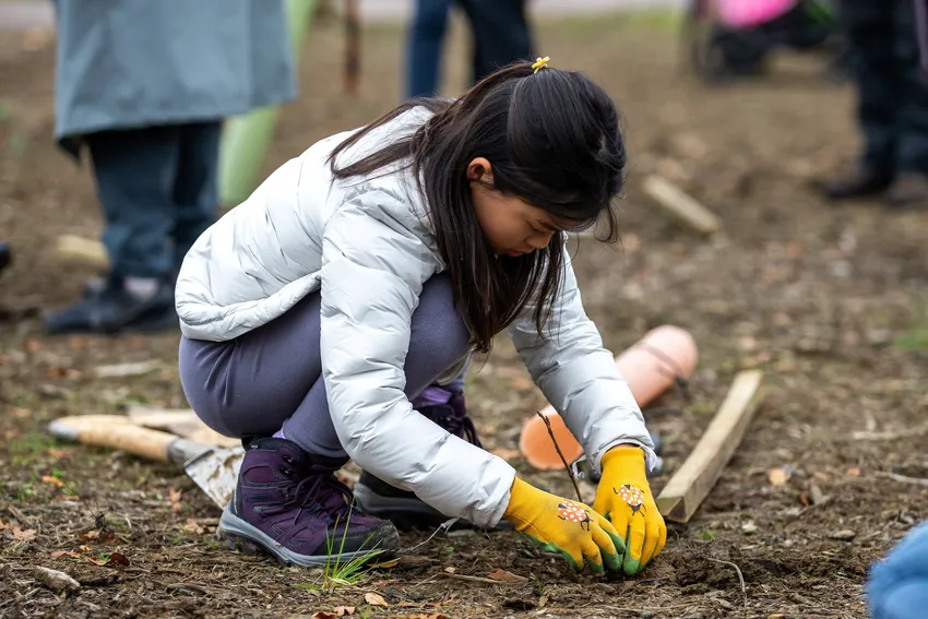 Community engagement with conservation in Silk Wood, Westonbirt - Johnny Hathaway