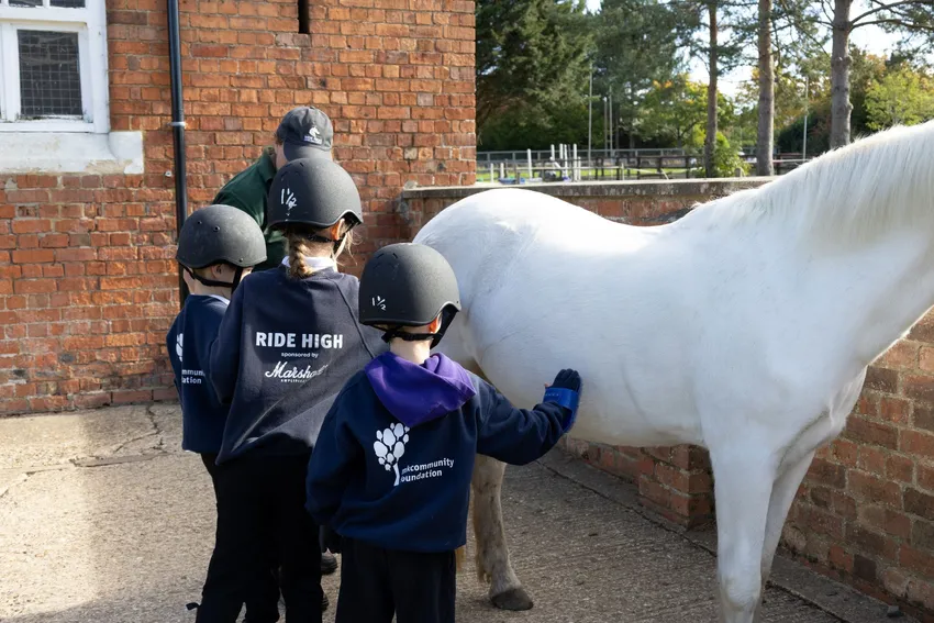 Grooming the ponies