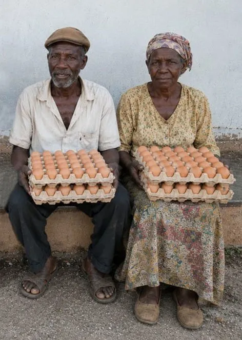Egg beneficiaries