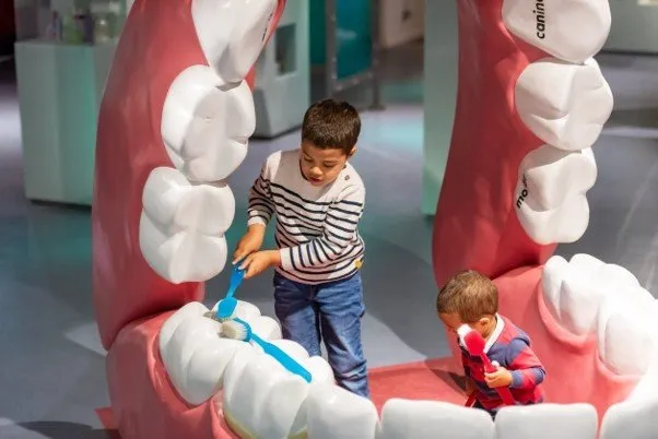 Learning through play