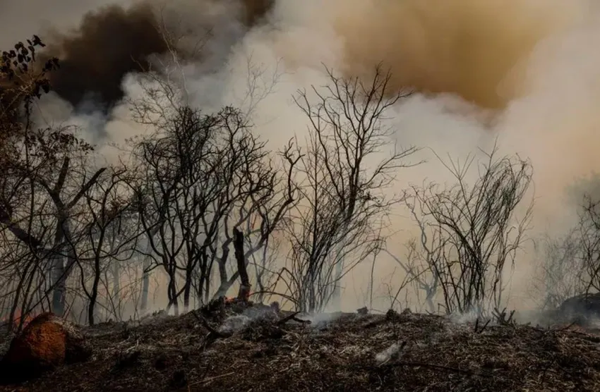The aftermath of a wildfire in the Upper Xingu. The ground is barren, the forest can no longer provide food, ancestral medicines or traditional livelihoods for the indigenous communities .