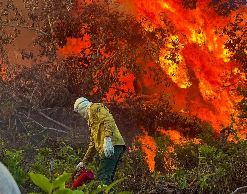 A member of the Indigenous Volunteer Brigade battles a wildfire in the Upper Xingu