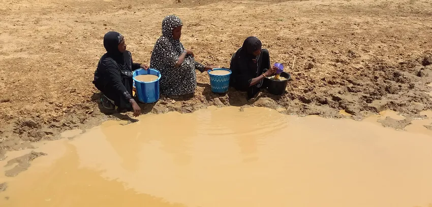 People have no choice but to drink from temporary ponds..