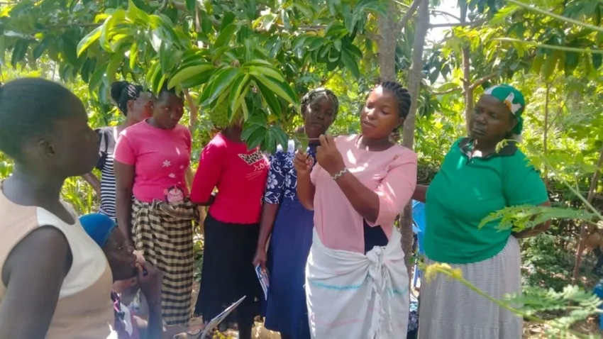 Lessons in permaculture in the field