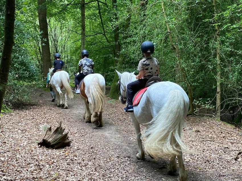 null