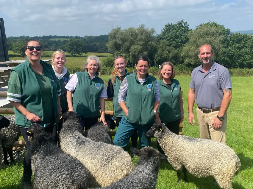 Learning about live stock farming