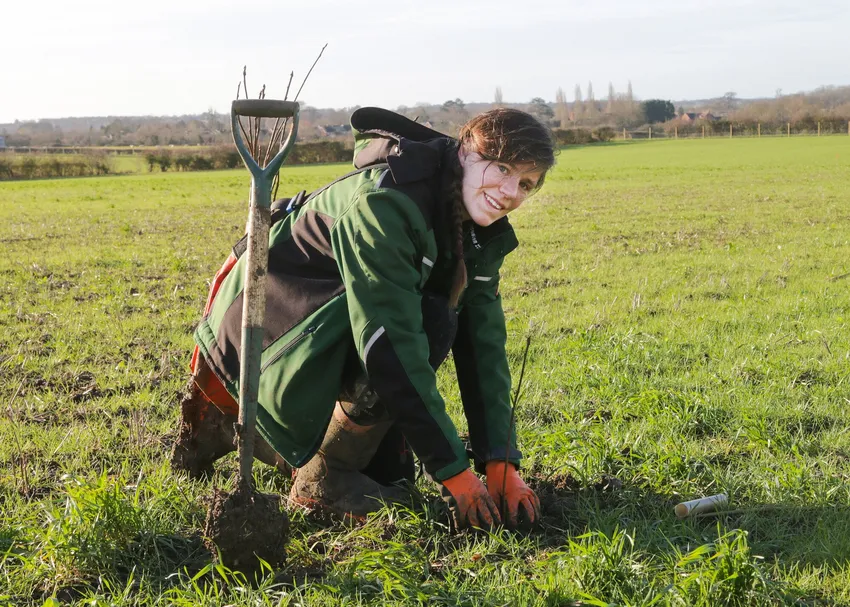 A member of our forestry team planting a tree sapling