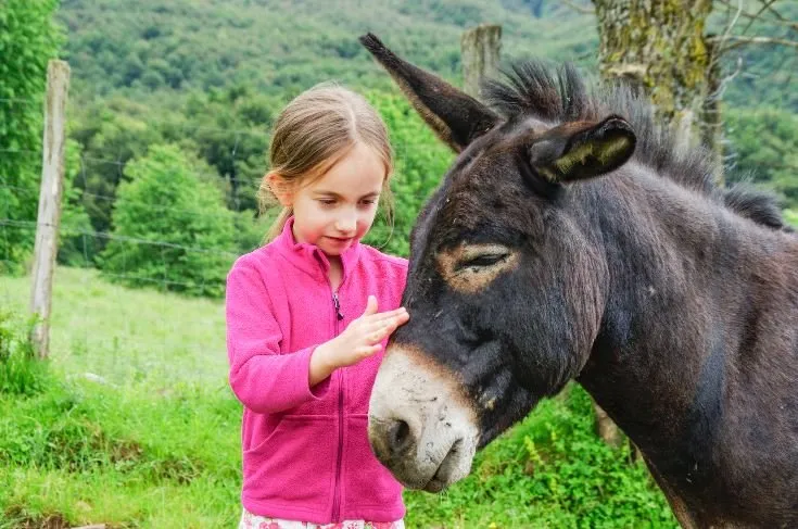 Leah With Donkey_Small