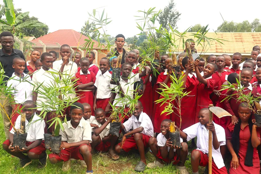 Pupils in Mbale receiving free seedlings to plant around their school
