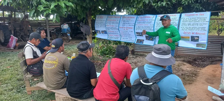Training session on organic fertiliser production