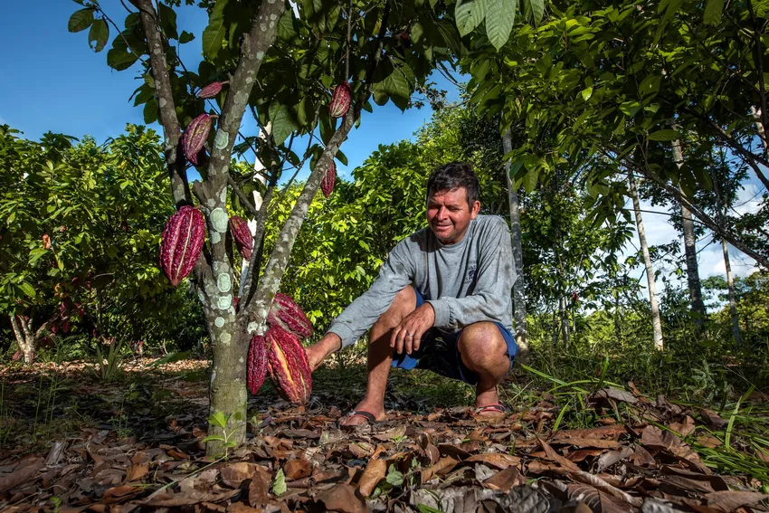 Reforesting the Amazon with Smallholder Farmers – Big Give