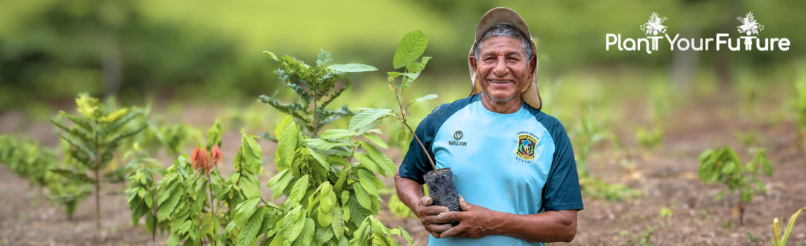Reforesting the Amazon with Smallholder Farmers – Big Give