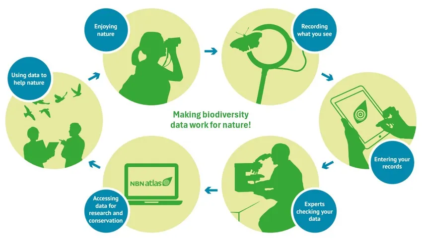 The NBN Atlas - making biodiversity data work for nature!