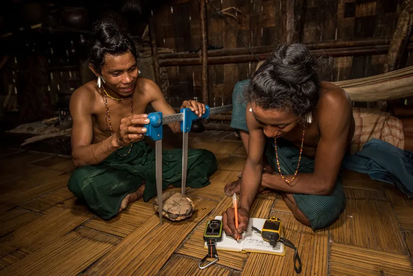 null