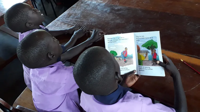 Bilingual story books