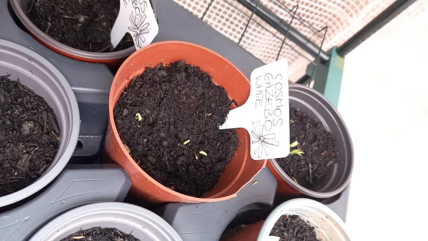New Shoots - our garden provides a tranquil space which is so beneficial for wellbeing