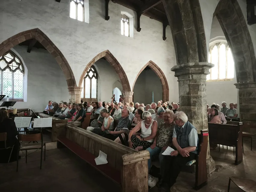 Wolfamcopte Audience