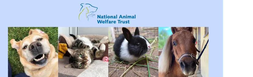 National Animal Welfare Trust Campaigns National Animal Welfare Trust Campaigns
