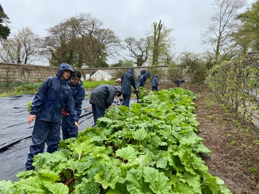 Garden team work