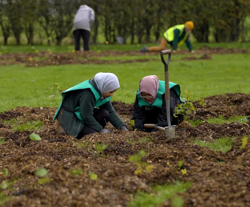 Tree planting day