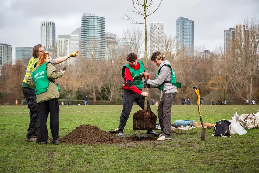 Tree planting day
