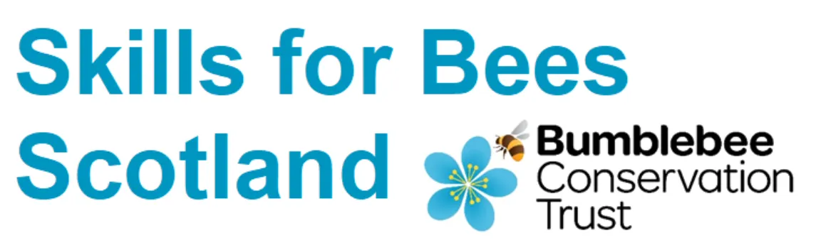 Bilberry bumblebee - Bumblebee Conservation Trust