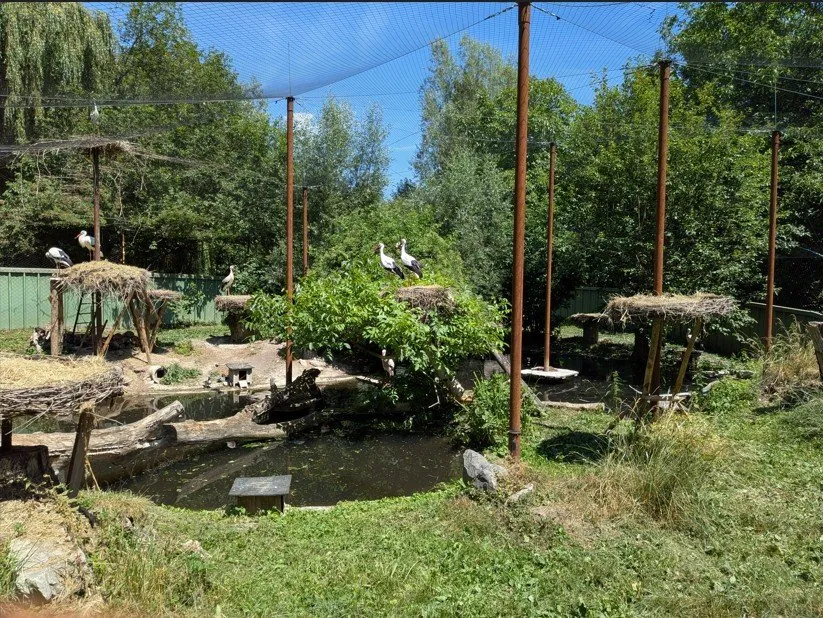 Stork Aviary - Credit Emily Fox