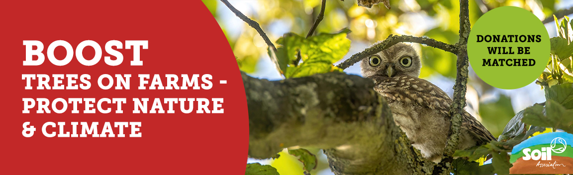 Boost trees on farms & protect nature & climate – Big Give