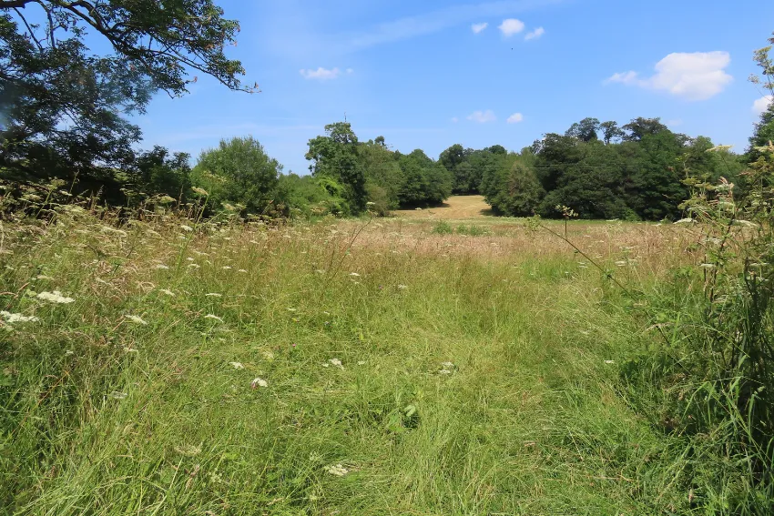 Sweeney Fen