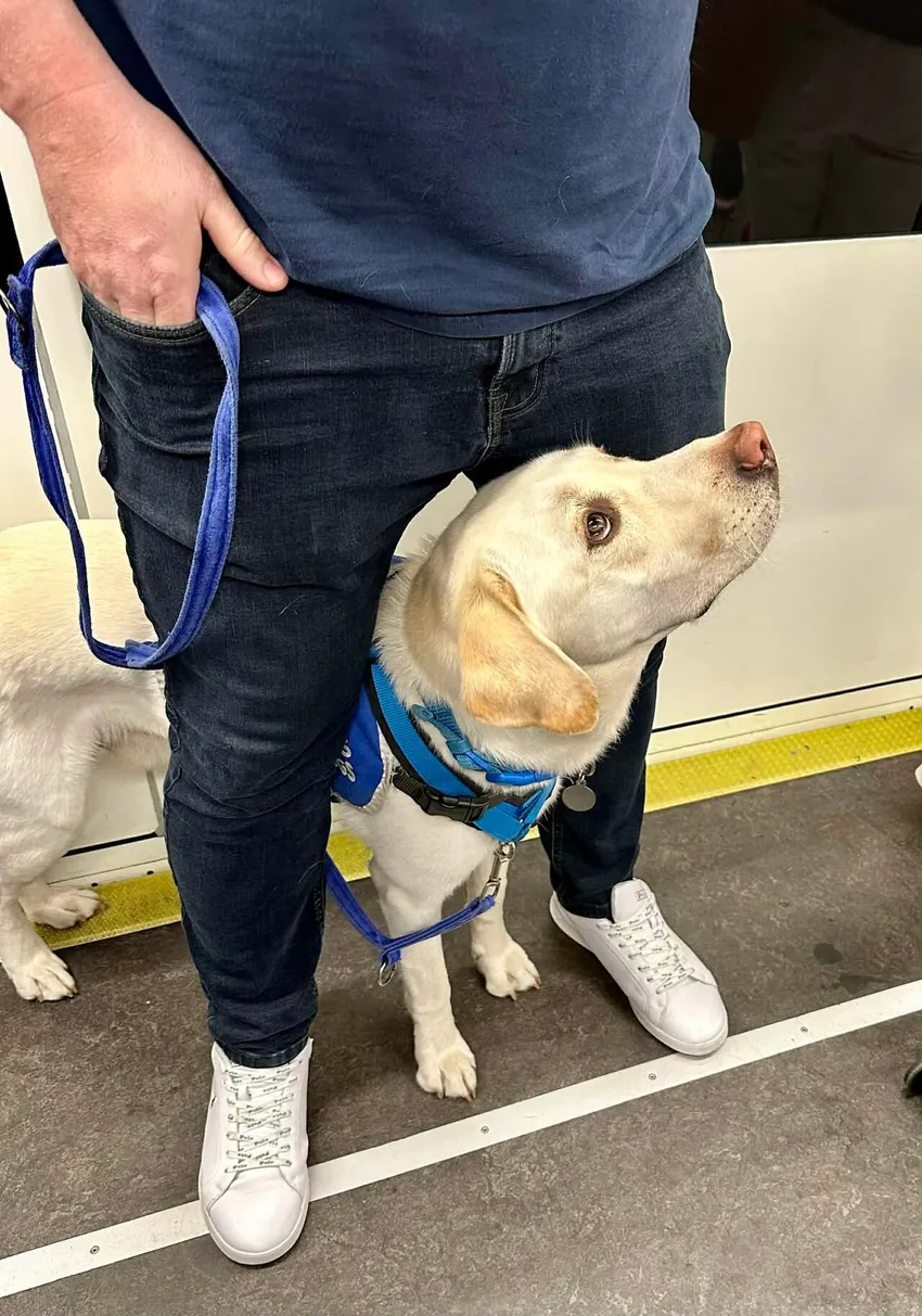 Assistance Dog and Veteran